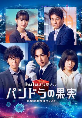 六安市网站seo优化外包公司